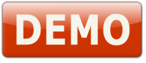 demo 300x131 - Toko Online Wordpress