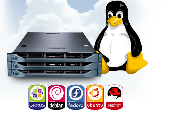 setup vps - Jasa Install - Setup VPS Untuk Hosting - Webuzo | WHM Cpanel